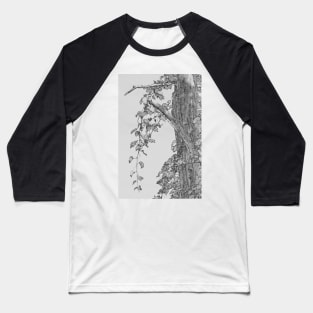 Cascading Vines (Tree & Leaf Study #4) Baseball T-Shirt
